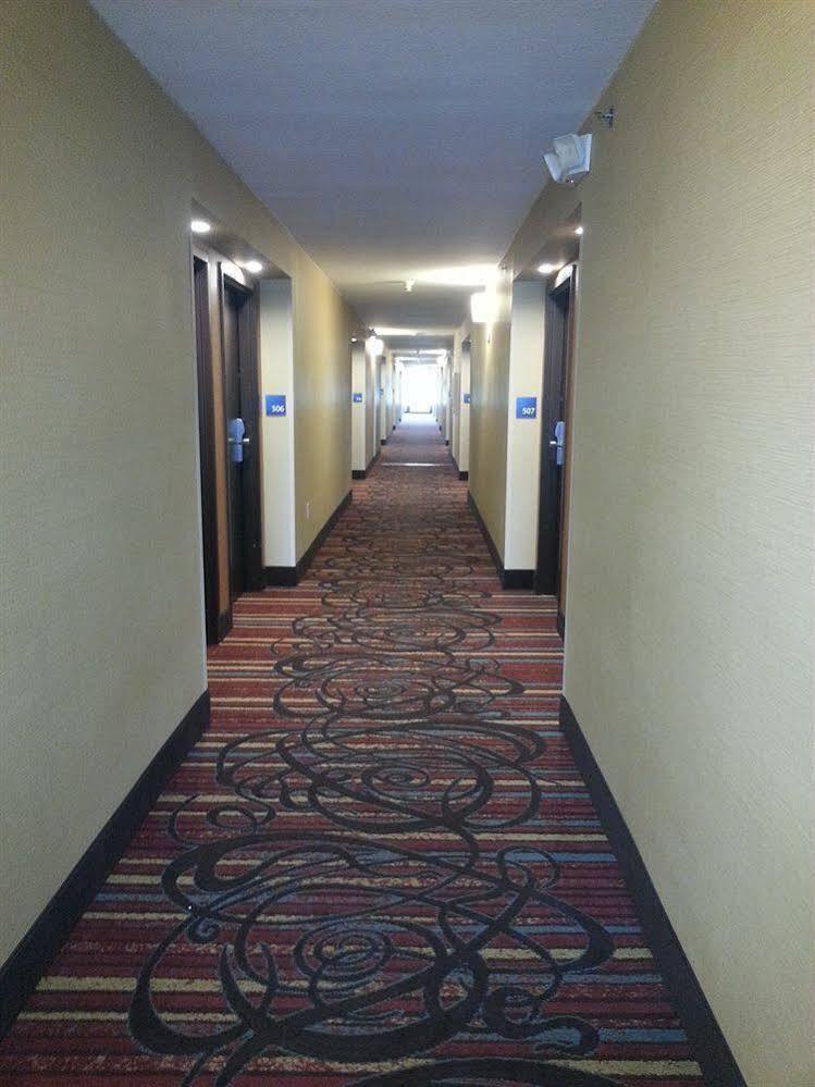 Holiday Inn Express Fredericksburg - Southpoint By Ihg Экстерьер фото